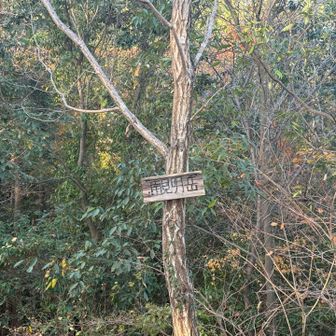 そして一つ一つのピークには当然ですがいちいち登りと下りがセットで付いてくるわけです。11.南見明岳。