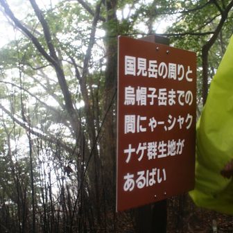 石楠花群生地があるそうです。