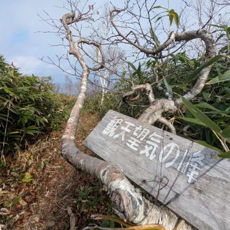 あった〜
観天望気の峰、到着🙌