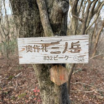 奥作礼三ノ岳。残念ながら眺望はほとんどない。