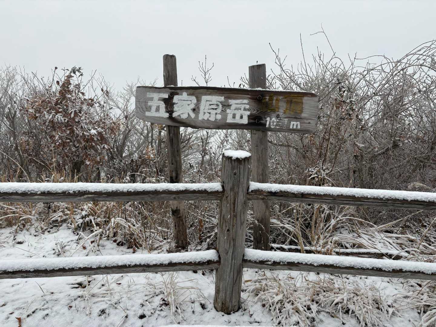 到着
しかし山頂は、暴風🌀とガスガスで😔