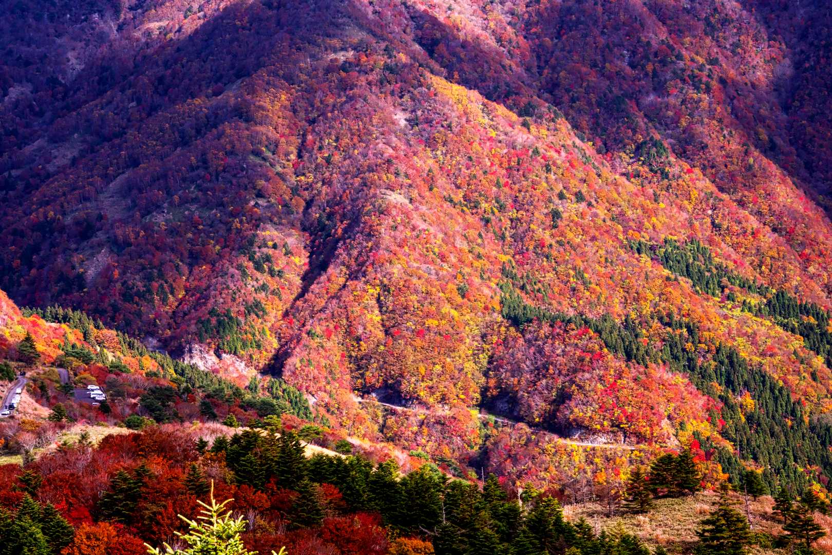 落合峠-落禿-前烏帽子山-寒峰 往復コースの写真