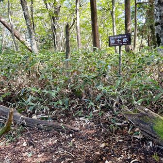 からの藤十郎は、縦走路を外れて高度120mほど下ったところにあるピーク。