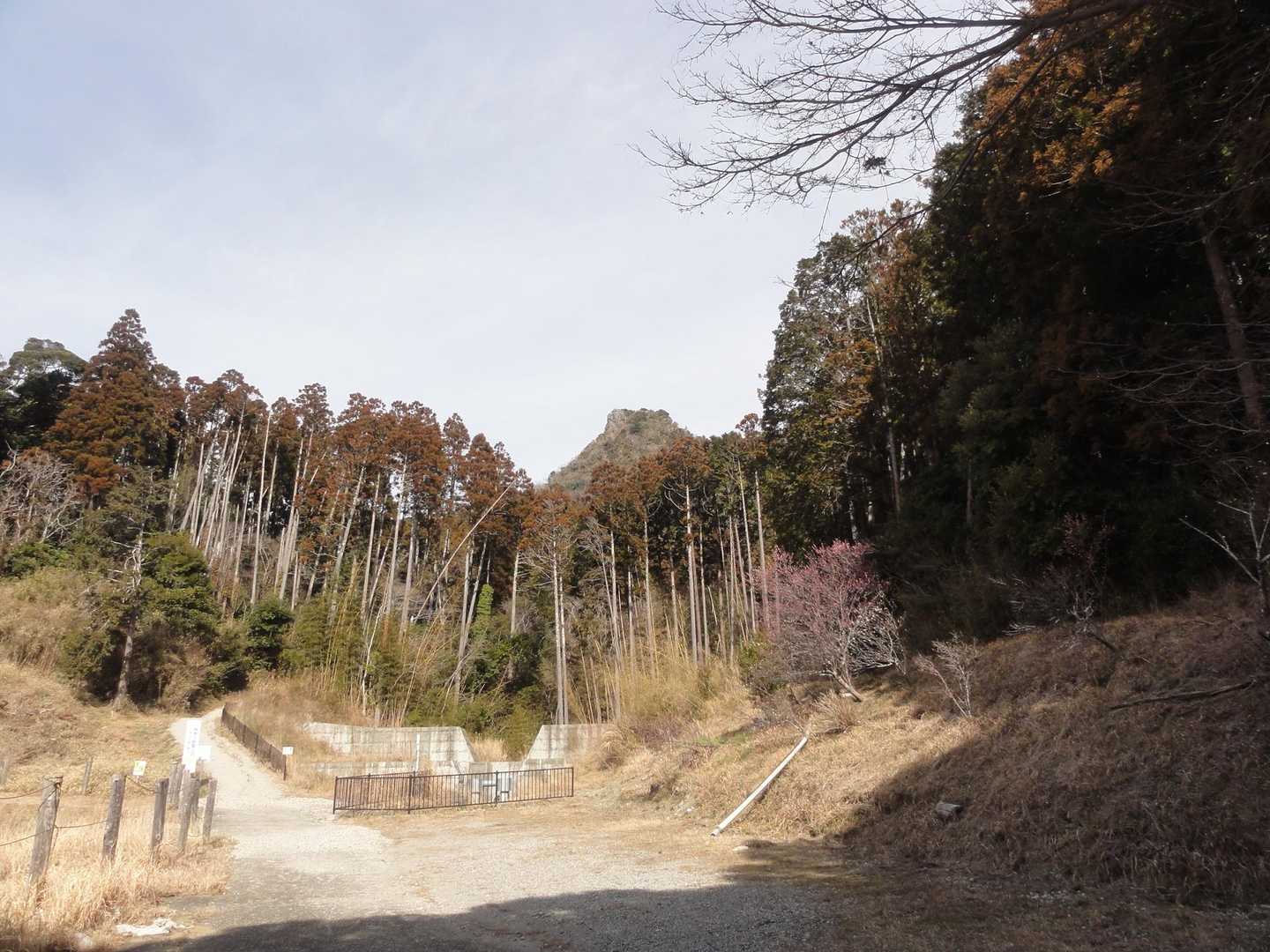 平群天神社コースの写真