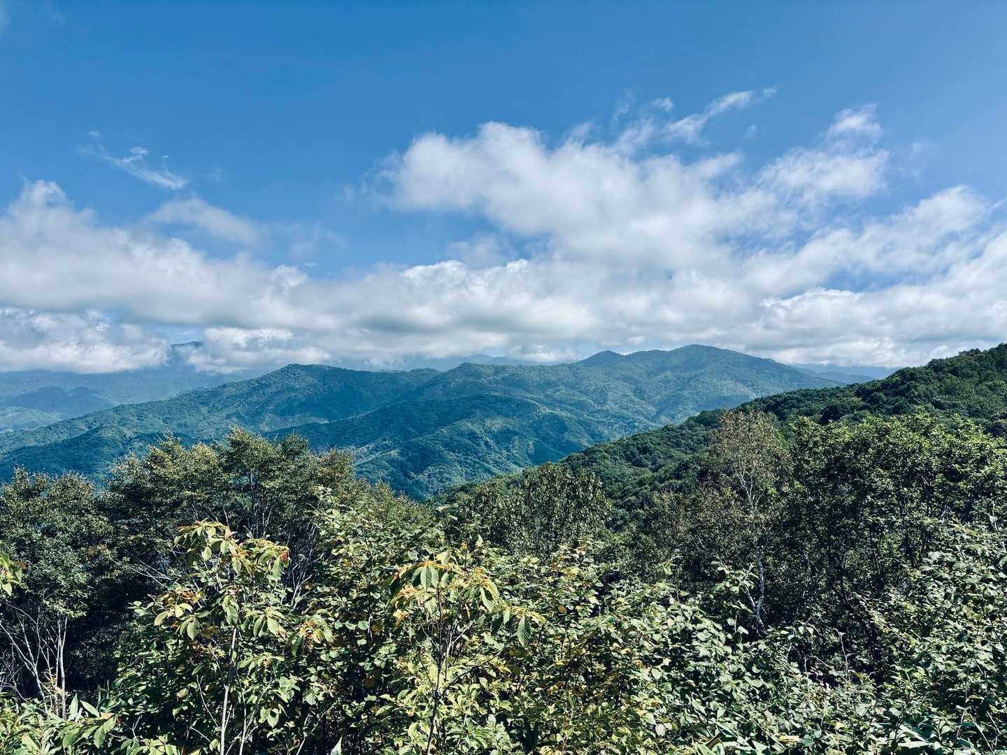 さぁー景色を満喫しまーす⛰️✨✨