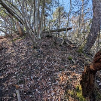 山頂直下は少々急登です。