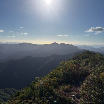 あの金草岳から来た