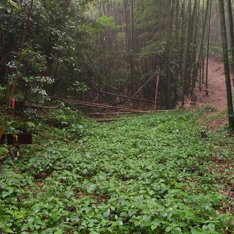 みのが峠に到着。ここで縦走路に合流。左折して、雨乞岳⛰️に向かいます。左側にピンテ🎀が見えます　👀