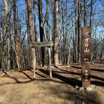 途中、ルートをロスする。
どこで間違えたんだろ？
正規ルートになんとか軌道修正しやってきました。
山梨百名山の三方分山。
47座目です。