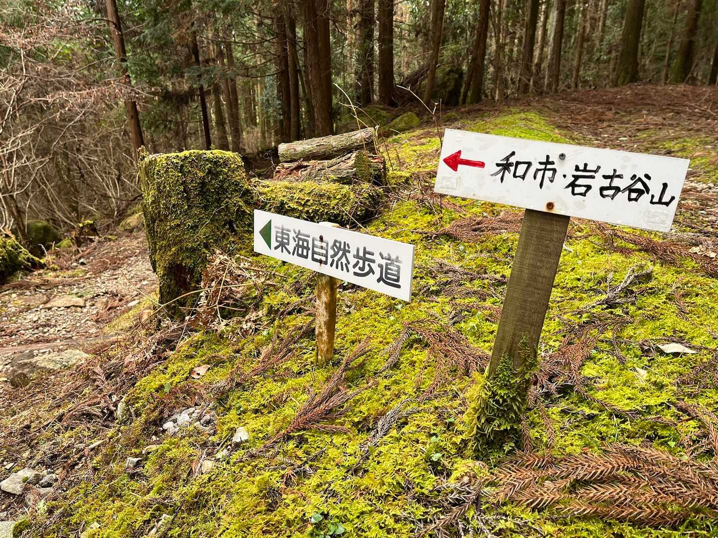 東海自然歩道
