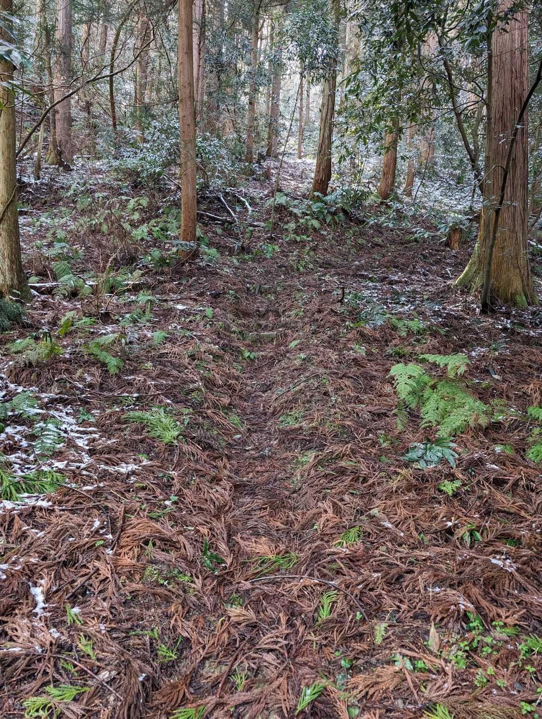 二本松山 周回コースの写真