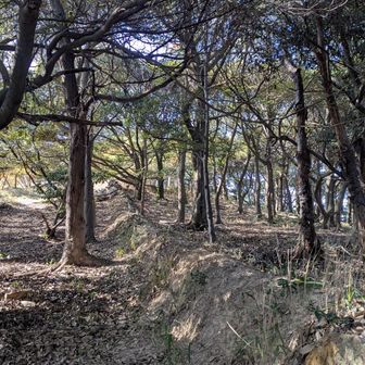 この辺りから
土塁？