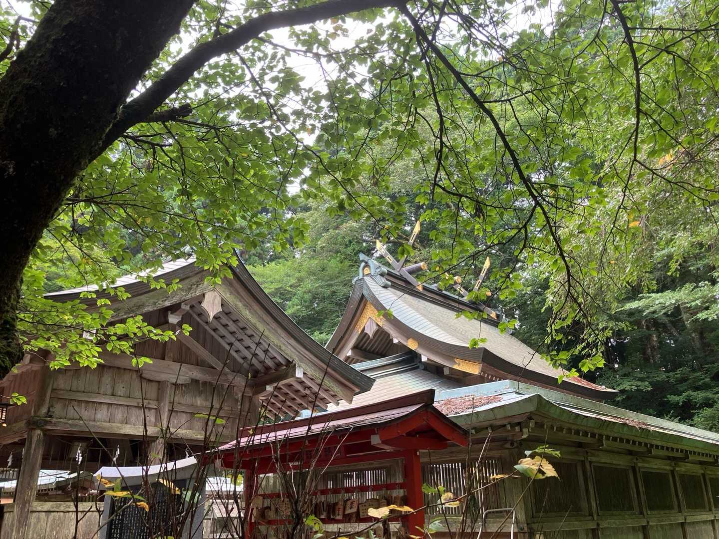 葛木神社。
満喫。
さぁ下山しよう。