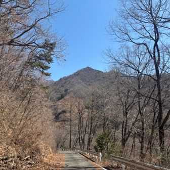 ここからは長〜いアスファルトの林道歩き