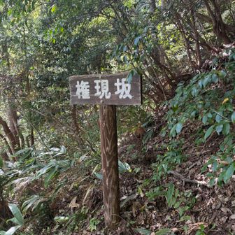 山の地名でよく出てくる「権現」

滝に祠もあったし、この山が神聖な場所だと考えられていたんだなあ