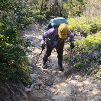 一旦下ってまた登る💦