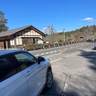 Pに戻りました。
遅れましたが本年も宜しくお願いします🤲🙇