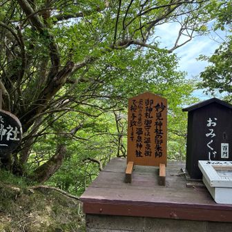分岐