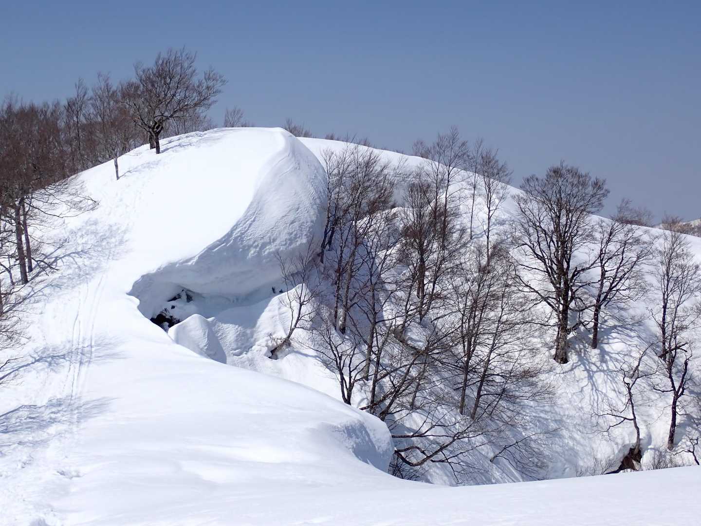 デカい!!
というか厚みがスゴい😳