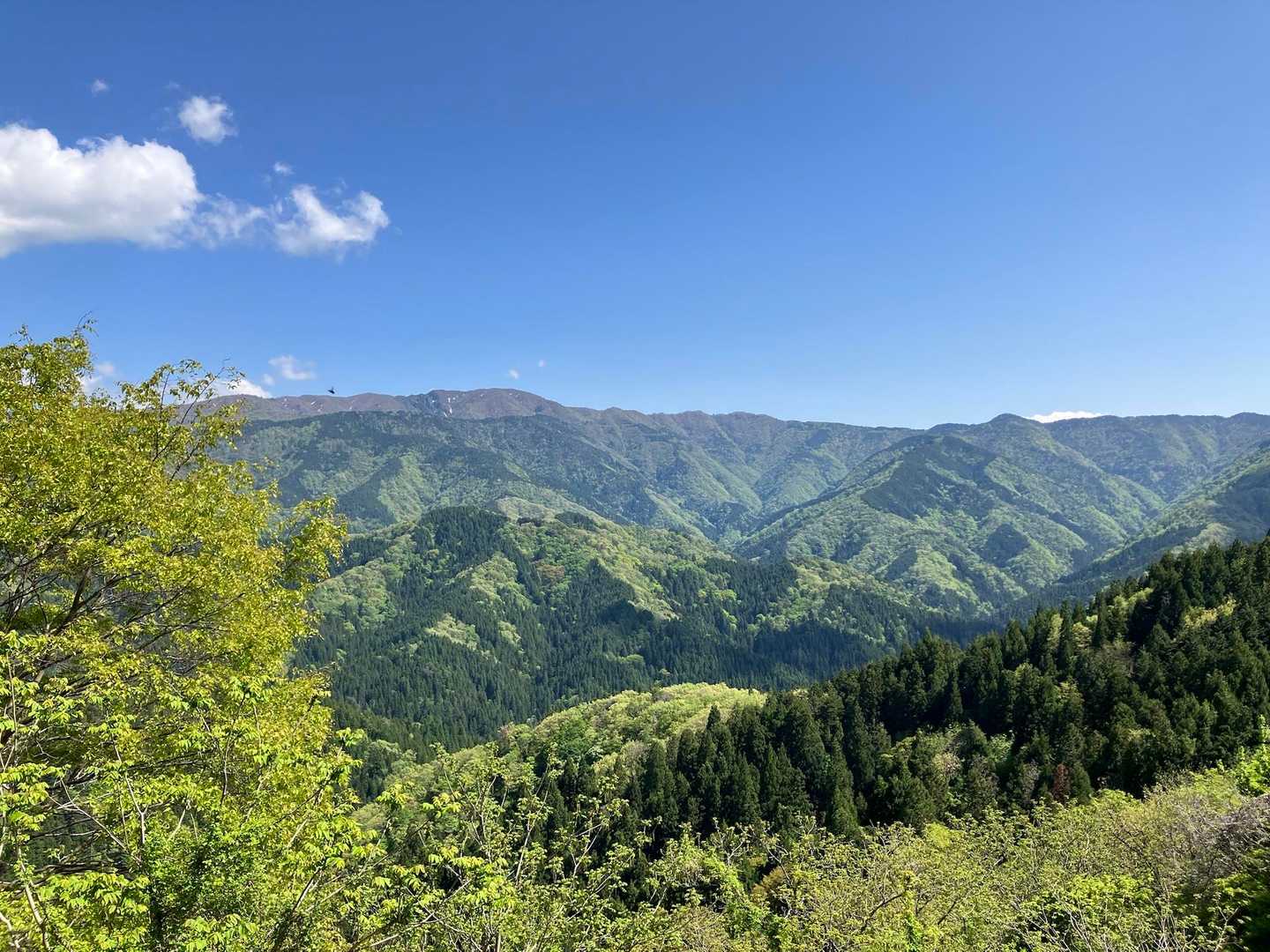 横山岳　白谷本流〜東尾根コ－スの写真