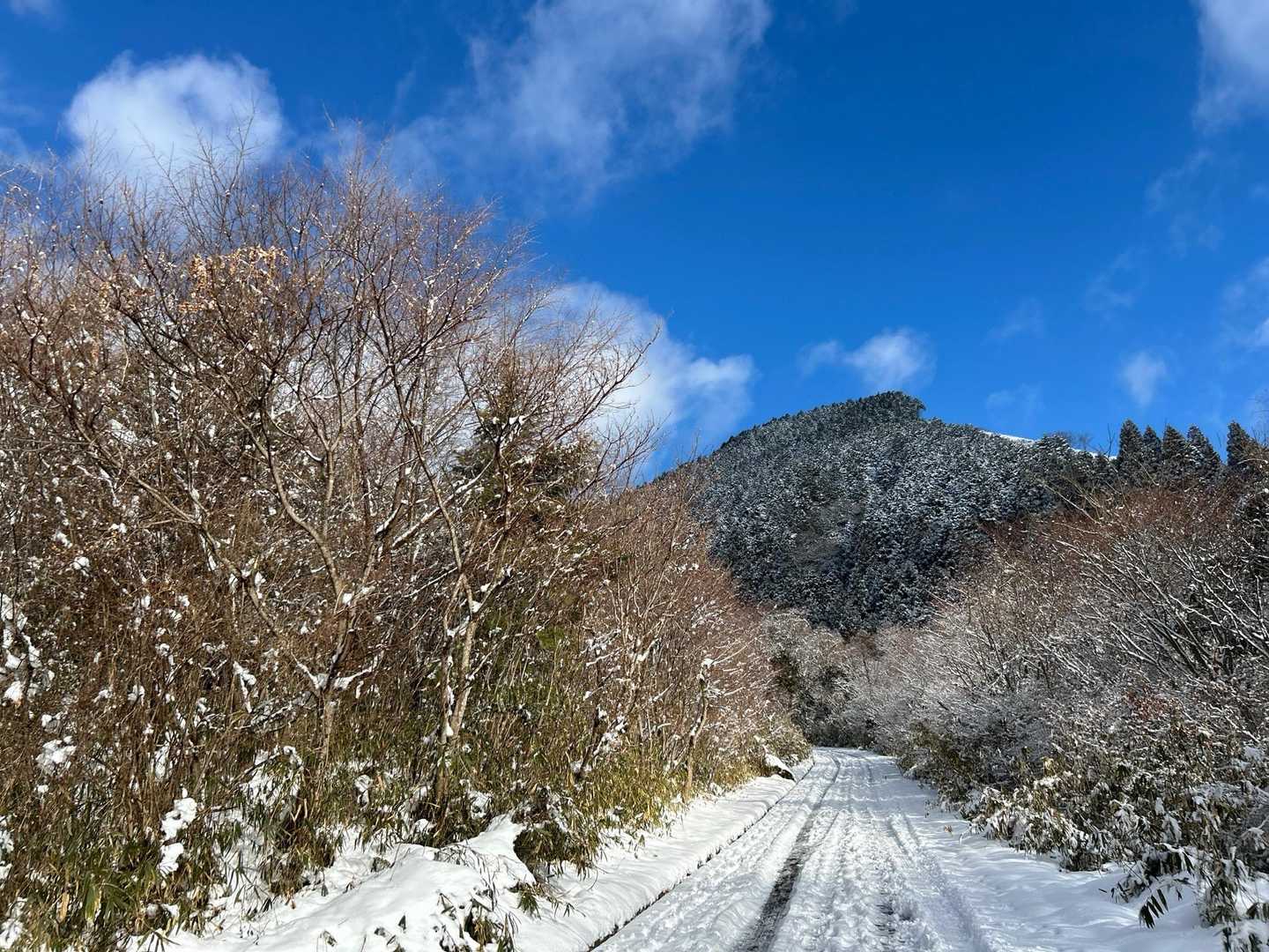 那岐山登山口-滝神社-滝山 往復コースの写真