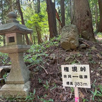ここから秋葉山まで道なきところをゆく