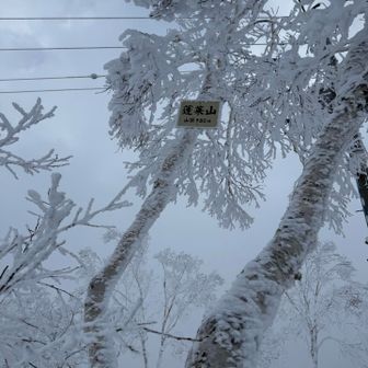 山頂　到着
雪が少ないせいか
高い位置に標識🪧