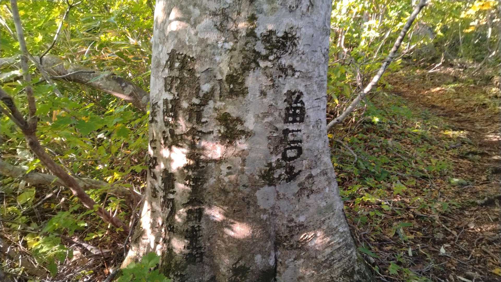 松田🙄