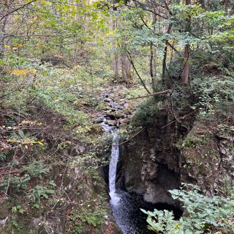 ひときわ大きな滝