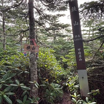 鉄山2531 
くろがねやま
メインコースより外れた静かな山頂