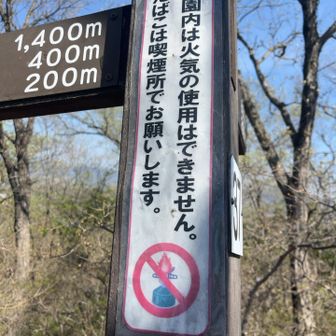 火気厳禁だそうです⚠️