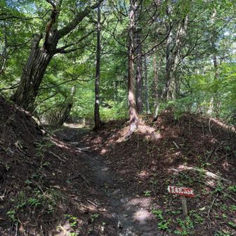 『権現山』コース気になる⛰️