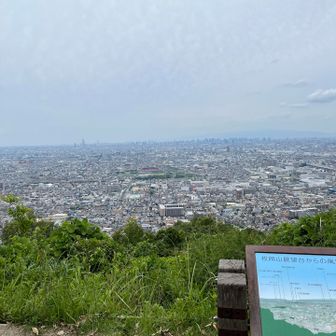 霞んでいるのが残念