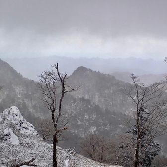 大日岳は樹氷なし
奥に台高も見えてます