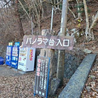 県道まで下りてきました。近くにパノラマ台入口のバス停🚏があります