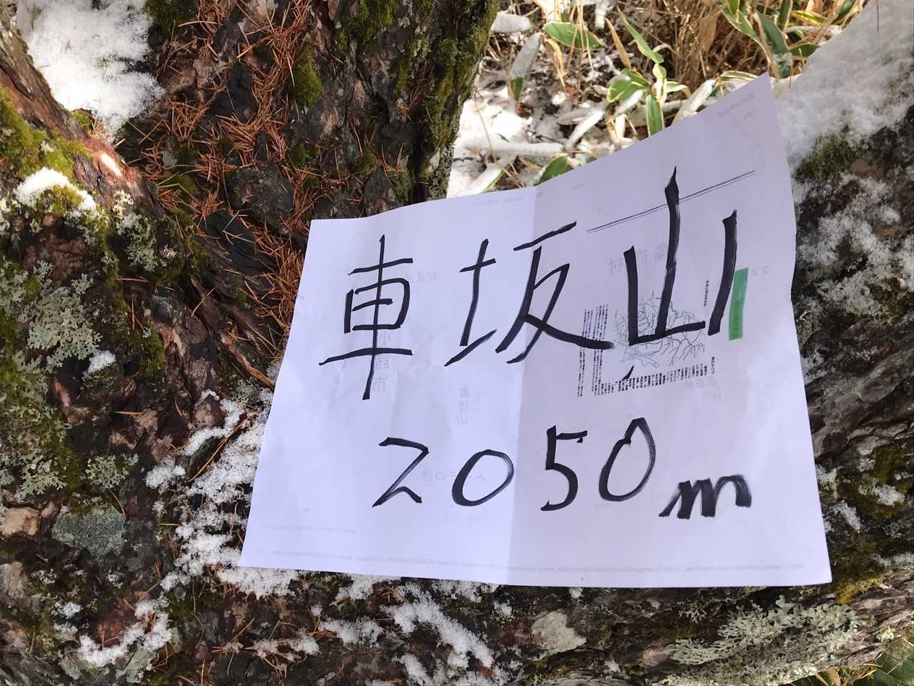 山名標識は無かった。