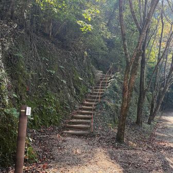 トイレの反対に百々ヶ峰に登る階段が有ります