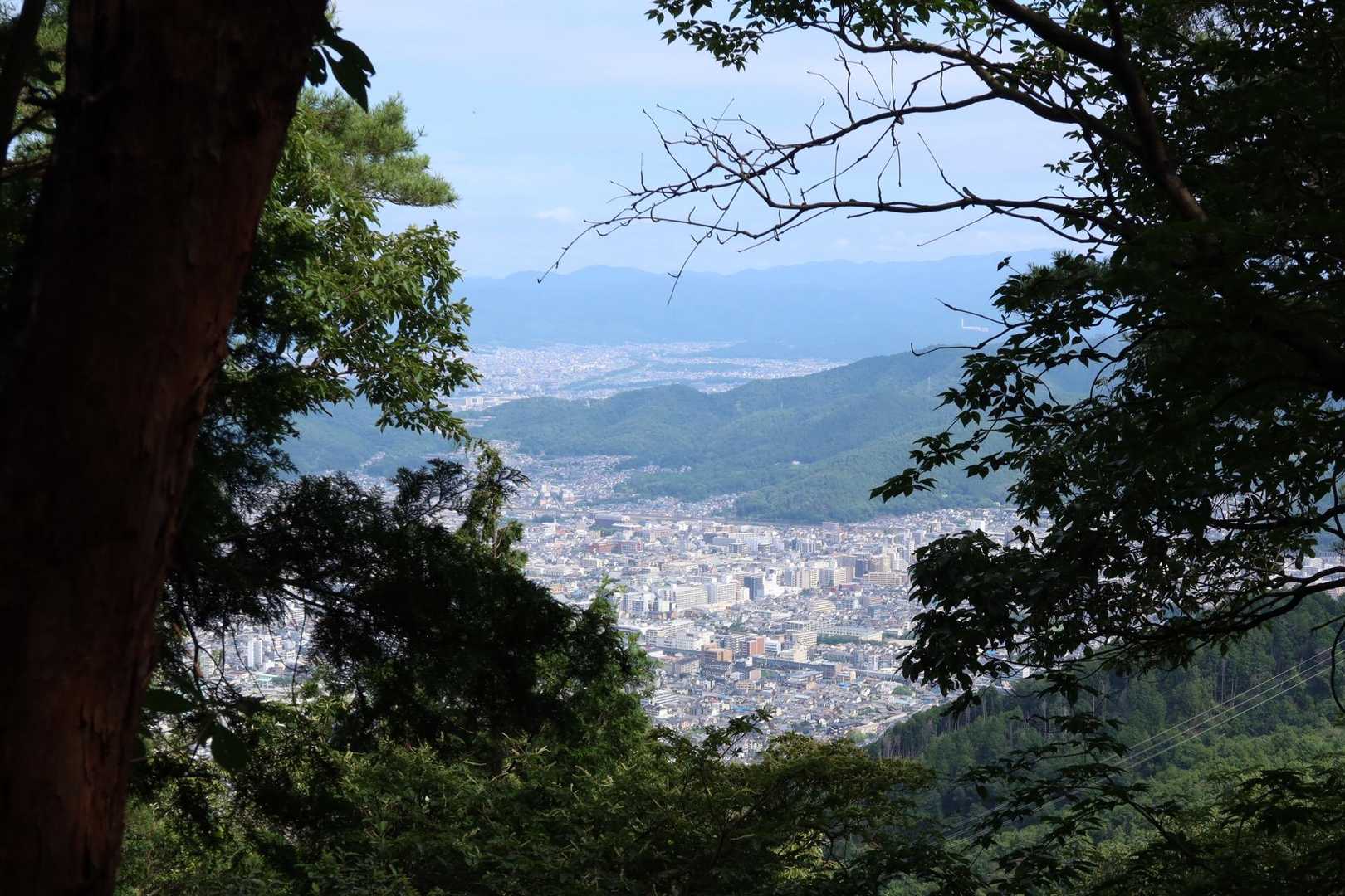 そういえば梅雨、明けたらしいね？