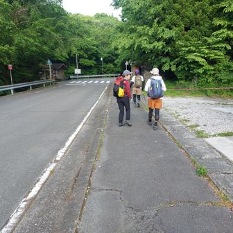 本日のメンバーは、Yさん、Nさん、Mさん。何れも脊梁63座を踏破された歴戦の山マダム達。最初から圧倒されっ放しです。お誘い頂きありがとうございます。本日は宜しくお願いします。
