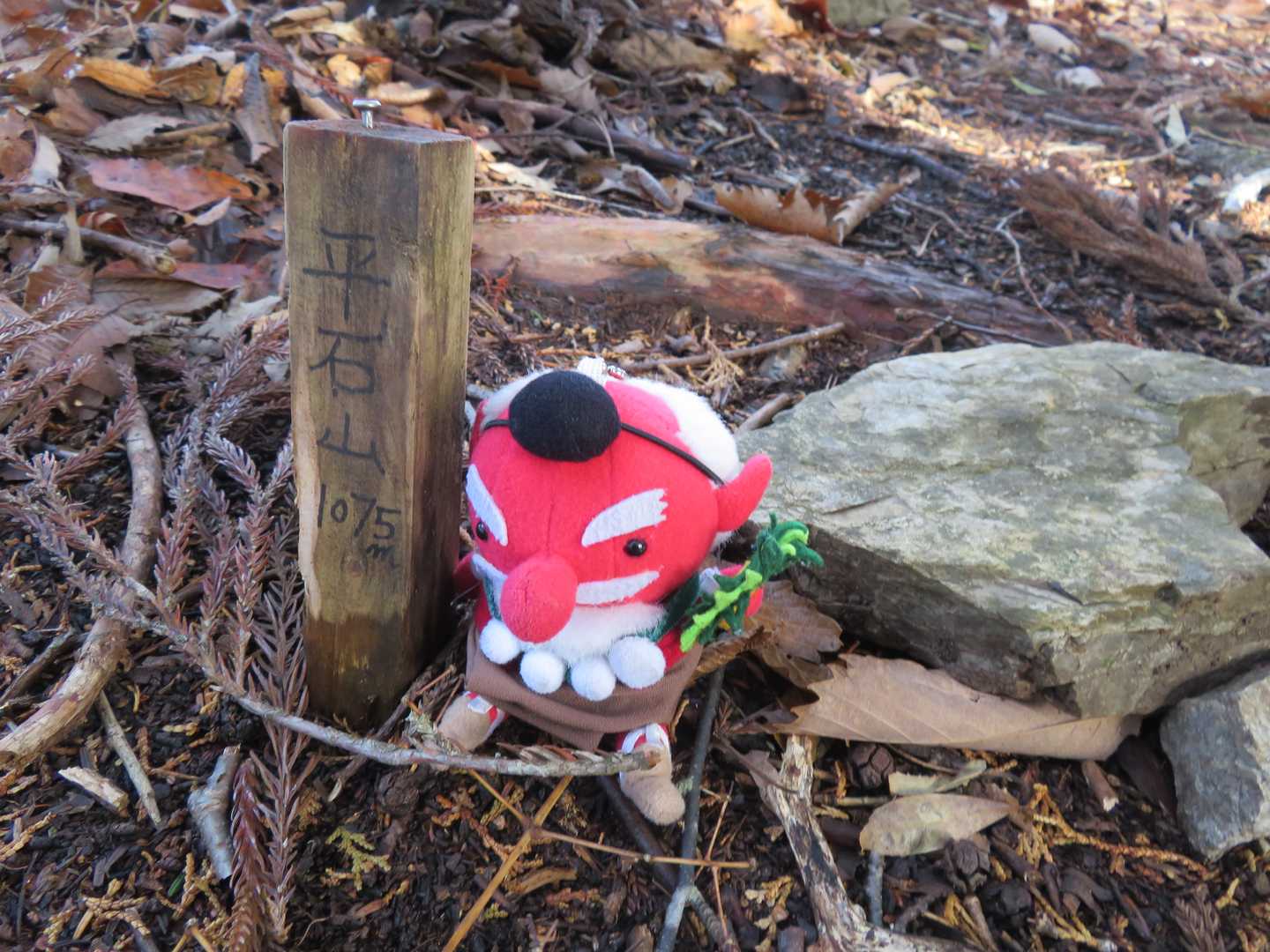 あったよ〰️😂平石山の山頂標識
里1002個目🔺(σﾟωﾟ)σゲッツ