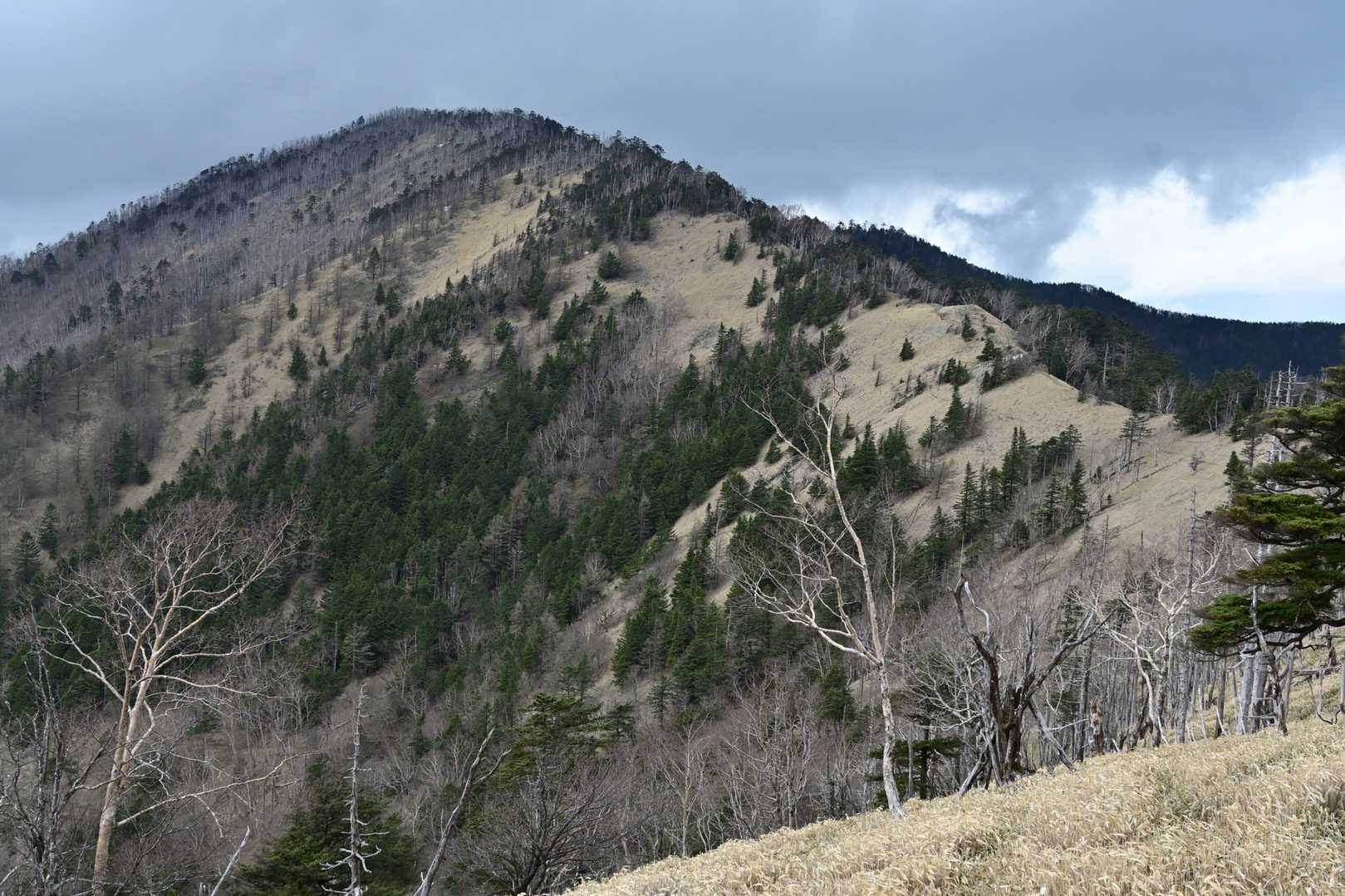 振り返ると、たしかに絶景。雁坂嶺が格好良い😆