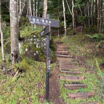 雨池峠へ。ここから登りです