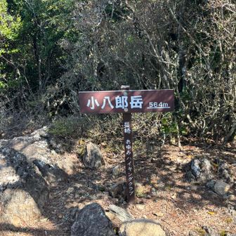 小八郎岳山頂
眺望無し