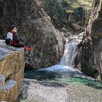 キラ⭐︎ヤマト🐼🐾