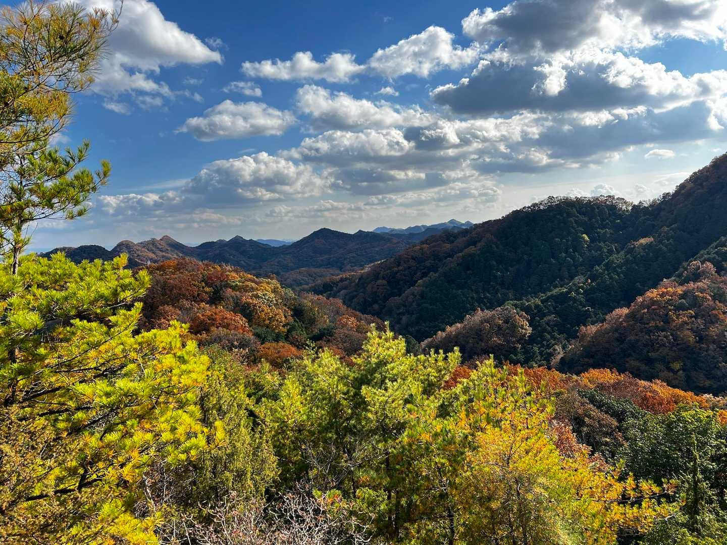 藤ノ木山登山口-藤ノ木山 周回コースの写真