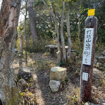 打越山踏破。ここまで来れば、あとは降るのみよ。