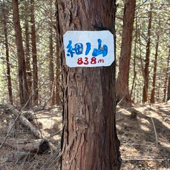 せっかくなので1ピークゲット