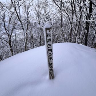まずは西高。暑がりは脱皮💦