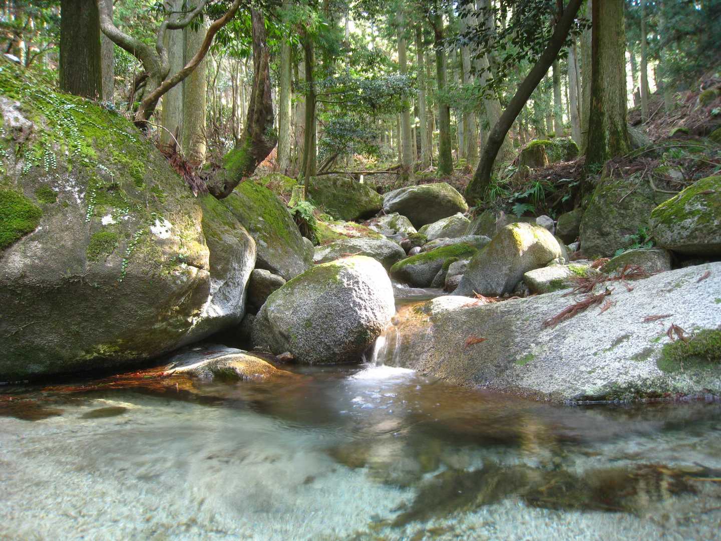 最初の沢を渡渉…  相変わらず綺麗です。