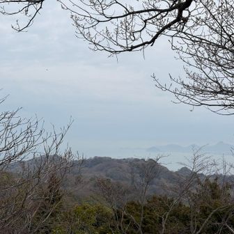 尾根の向こう、海を挟んで恵良山など北条の山々が霞んでみえる